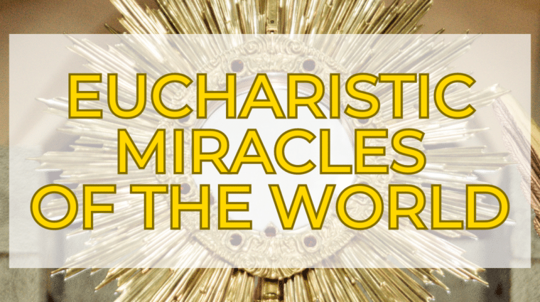 Eucharistic Miracles of the World on display June 7-14