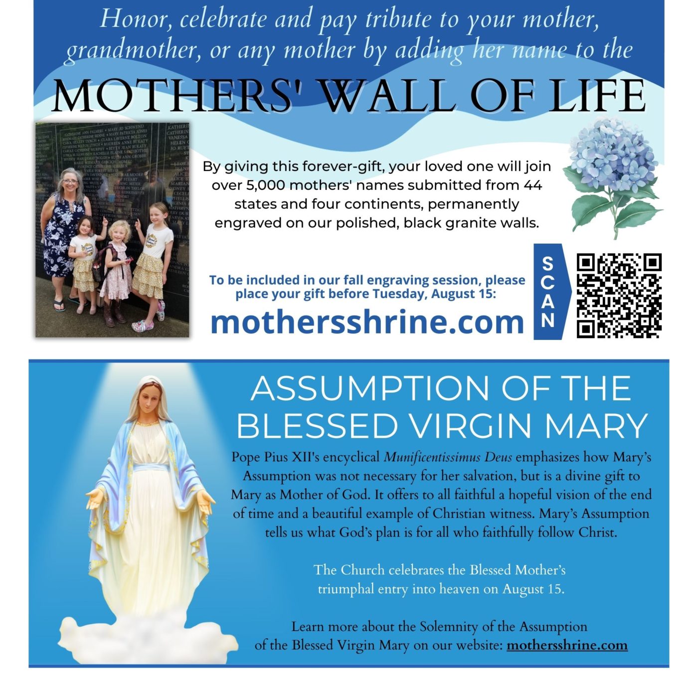 Assumption of Mary Bulletin Insert